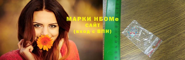 стаф Балахна