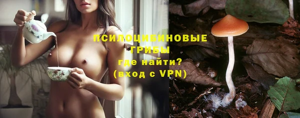стаф Балахна