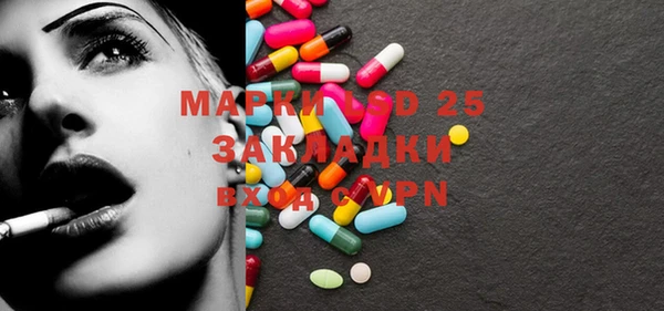 стаф Балахна