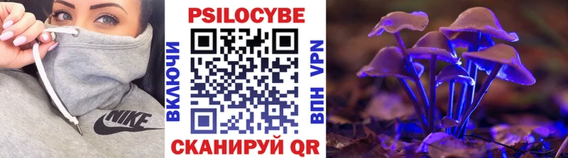 Псилоцибиновые грибы MAGIC MUSHROOMS  закладка  маркетплейс состав  Рассказово 